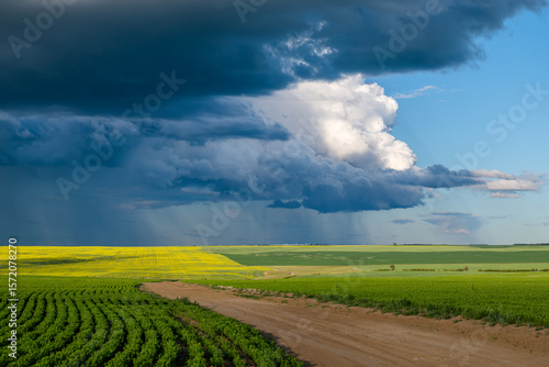 Dark storm clouds over a grid road and fields south of Swift Current, Saskatchewan