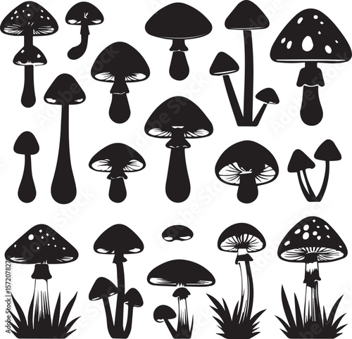 set of vector mushrooms nature black white background 