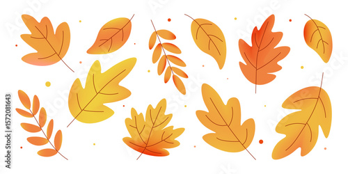 Set of colorful autumn leaves in orange, yellow, red and brown tones. Use in compositions, cards or banners. Vector illustration on white background