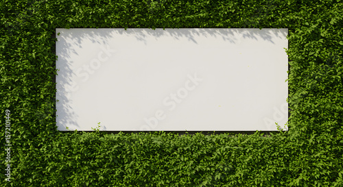White Rectangular Signboard with Green Foliage Border in Outdoor Garden Setting