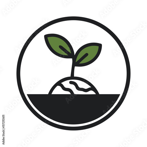 Sprouting Seed Emerges From Soil Showcasing Nature's Renewal Process