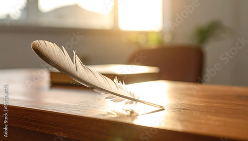 Feather on wooden table, sunlit