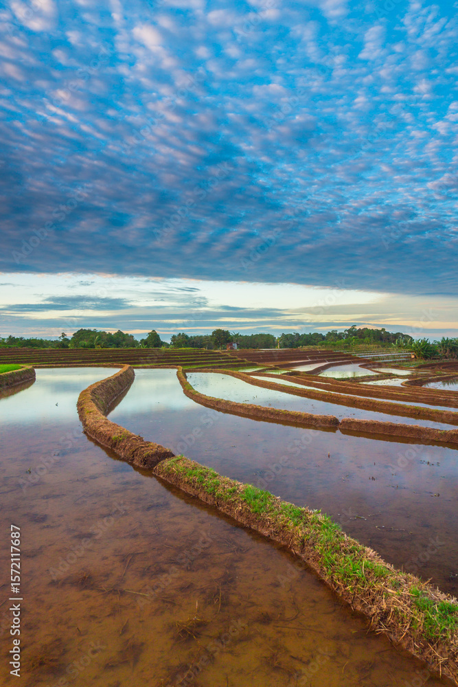 Obraz premium Aerial view of Indonesia's lush rice fields with majestic mountain backdrop, showcasing natural beauty, peaceful morning vibes, perfect for themes of nature, farming, and rural life