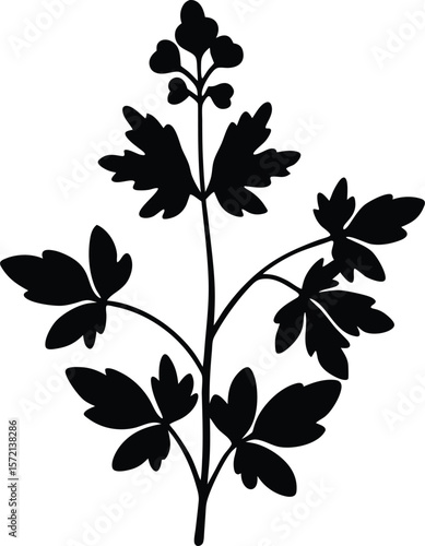 Corydalis Vector Silhouette in Minimal Clean and Simple Style Silhouette Vector Art Illustration