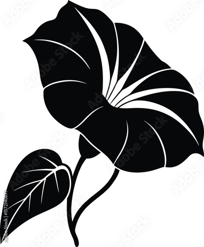 Morning Glory Vector Silhouette in Minimal Clean and Simple Style Silhouette Vector Art Illustration