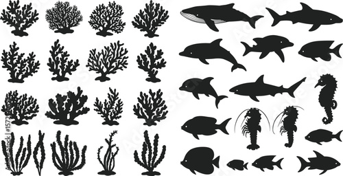 Underwater coral reef marine life silhouette, tropical fish dolphin shark seahorse vector illustration, ocean animals, aquatic plants, black design