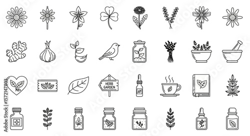  Herbal Medicine and Natural Remedies Line Icon Set
