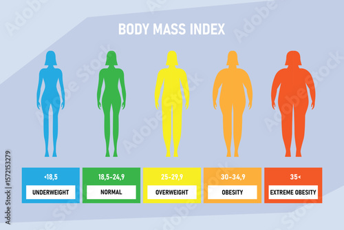 Body Mass Index (BMI) Chart for Female Weight Categories 2d flat vector illustrations