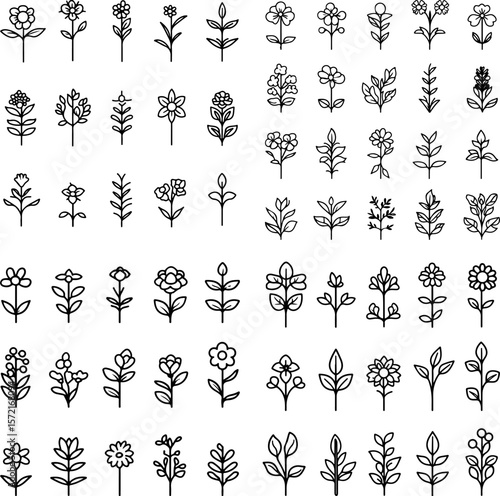 perennial plant icons, perennial flowers, long-lasting plants, garden perennials, flowering perennials, hardy perennials, perennial shrubs, perennial garden, seasonal plants, perennial