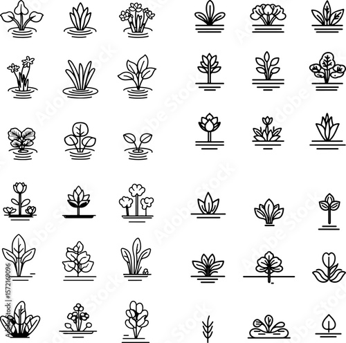floating plants, water plants, aquatic plants, floating greenery, water garden, pond plants, aquatic flora, floating vegetation, floating leaves, water lilies, pond surface plants, floa