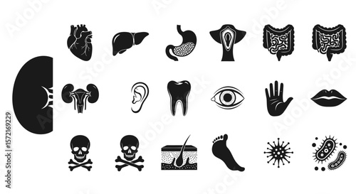Human Anatomy and Medical Organs Solid Icon Set