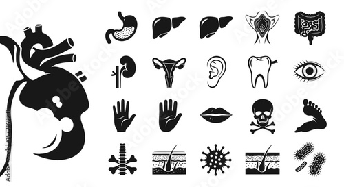 Human Anatomy and Medical Organs Solid Icon Set