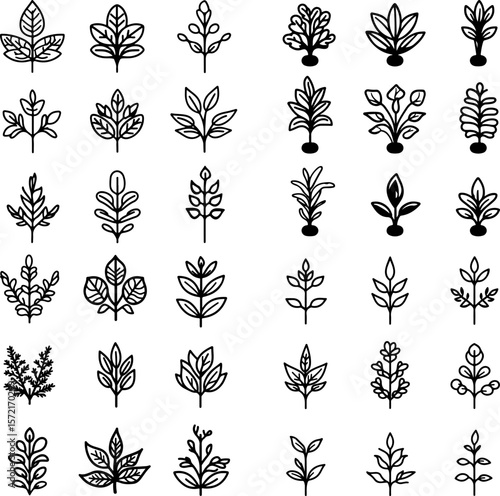 Java fern, aquatic fern, freshwater fern, aquarium fern, underwater fern, Java plant, aquarium plant, water fern, tropical fern, aquatic greenery, aquarium greenery, Java fern icon, fer