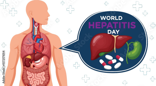 Illustration of human anatomy and world hepatitis day awareness campaign