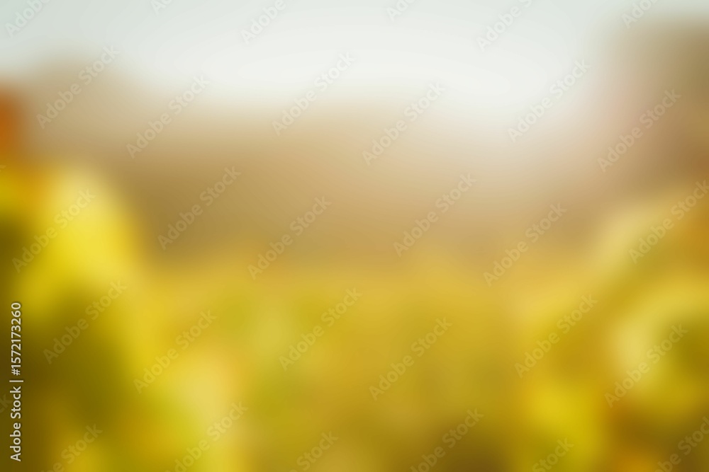 Fototapeta premium Blurry of autumn trees on a sunny day