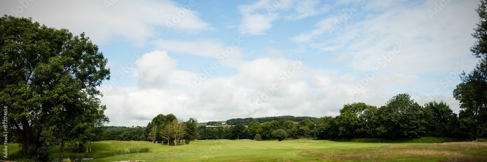 Fototapeta premium Flat design showing panoramic grass field with pond beside deciduous trees under cloudy sky