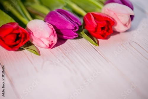 Fototapeta Naklejka Na Ścianę i Meble -  Five colorful tulip blossoms are being displayed on whitewashed wooden plank, flat design
