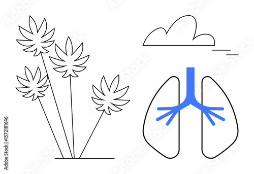 Lungs paired with plants and a cloud, showcasing harmonious nature and human health. Ideal for sustainability, health, environment, eco-awareness, air quality, conservation, simple flat metaphor