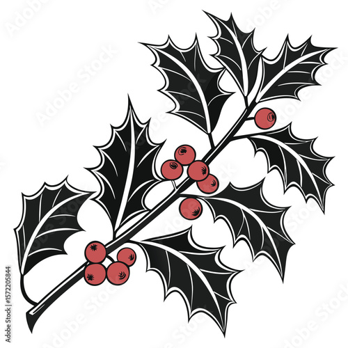 christmas holly leaves and berries