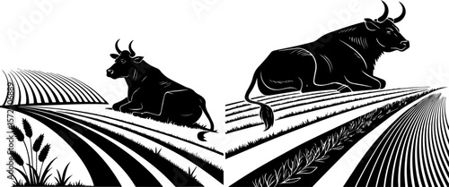 Resting Bull in Farm Field - Agriculture and Livestock Silhouette