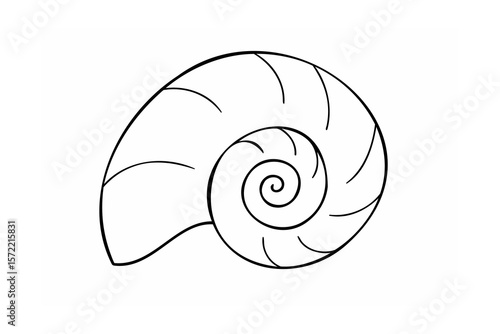 Nautilus shell spiral outline black and white marine life