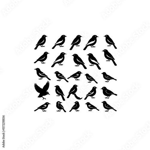A collection of twenty four bird silhouettes arranged in a grid pattern
