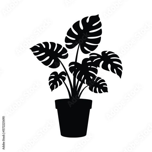 A potted monstera plant with large, split leaves stands out in a bold black silhouette against a clean white background