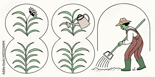 Farmer tending to plants in a greenhouse showing growth stages isolated on white background