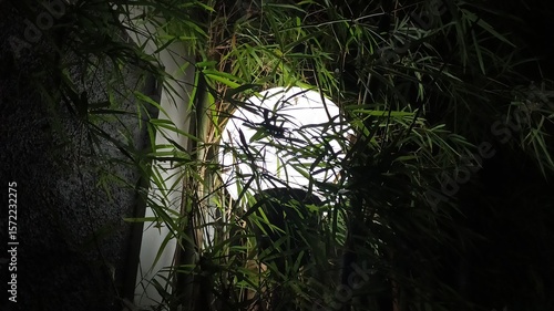 Decorative street lights glowing at night, creating a warm, peaceful atmosphere. Ideal for urban scenes, night photography, or festive street visuals