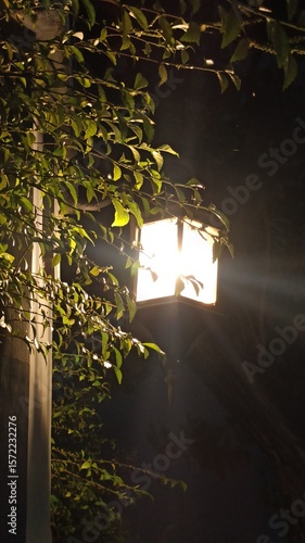 Decorative street lights glowing at night, creating a warm, peaceful atmosphere. Ideal for urban scenes, night photography, or festive street visuals