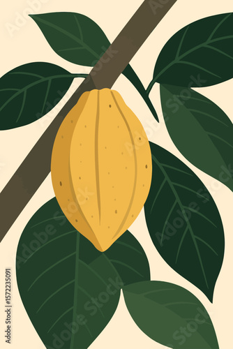 This is a stylized vector illustration of a cacao (cocoa) tree. The focus is on a single, ripe yellow cacao pod growing directly from the trunk, surrounded by large dark green leaves with prominent ve