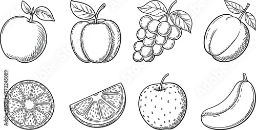 Illustration of various fruits including apples, grapes, oranges, and a plum