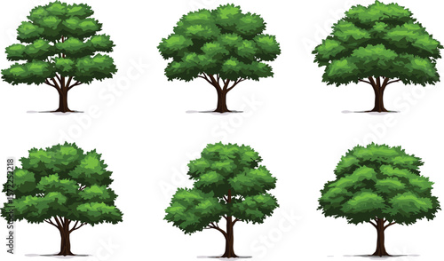 Realistic green tree set with lush foliage, natural forest landscape elements, summer garden tree vector collection for design and decoration