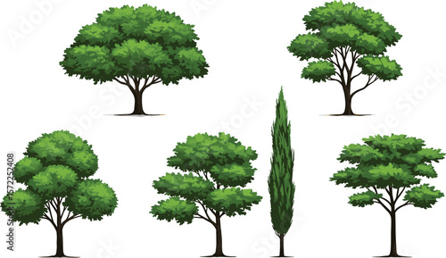 Realistic green tree set with lush foliage, natural forest landscape elements, summer garden tree vector collection for design and decoration