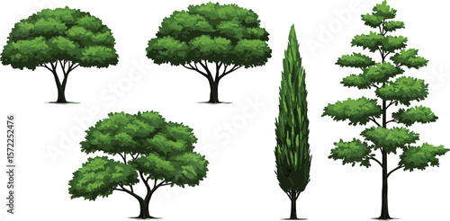 Realistic green tree set with lush foliage, natural forest landscape elements, summer garden tree vector collection for design and decoration