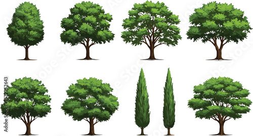 Realistic green tree set with lush foliage, natural forest landscape elements, summer garden tree vector collection for design and decoration