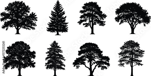 Set of detailed black tree silhouettes, various deciduous and coniferous tree shapes, isolated vector icons for forest, nature, and landscape design