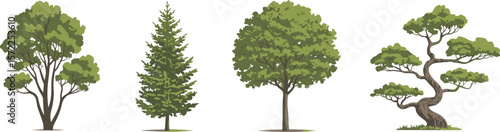 Set of four detailed tree vector illustrations, diverse botanical tree types, seasonal greenery pack, isolated forest trees for landscape design