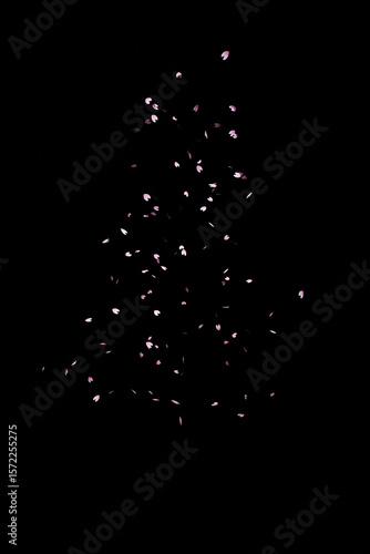 黒背景に風で舞い上がる桜の花びらのCG画像