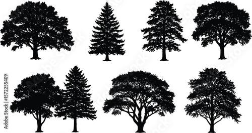 Tree silhouette vector set, isolated black trees, forest elements collection, pine and deciduous shapes, nature outlines for landscape design