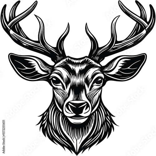 Majestic deer head, intricate line art