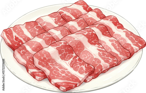 watercolour illustration of raw meat on a plate