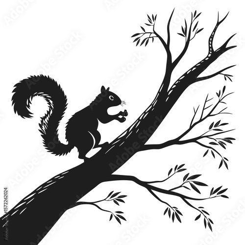 Squirrel Silhouette Isolated Wild Animal on White Background