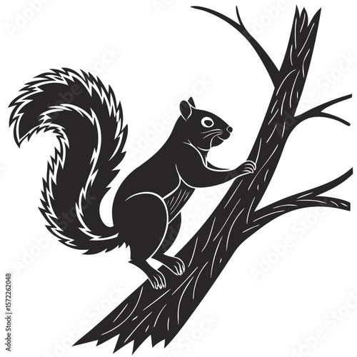 Squirrel Silhouette Isolated Wild Animal on White Background