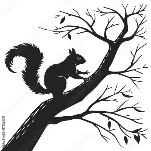 Squirrel Silhouette Isolated Wild Animal on White Background