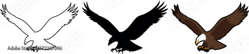 Three distinct graphic representations of a bald eagle in mid flight showcasing its wingspan and talons in outline silhouette and full color