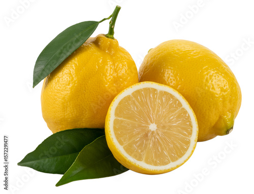 Wallpaper Mural Yellow citrus fruits with green leaves lemons Torontodigital.ca