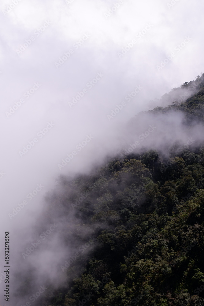 Fototapeta premium fog in the mountains