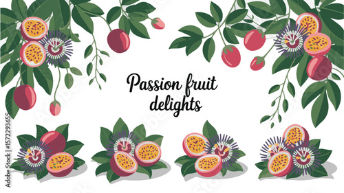 Vector art of passion fruit delights a vibrant illustration of the fruit and flowers isolated on transparent background