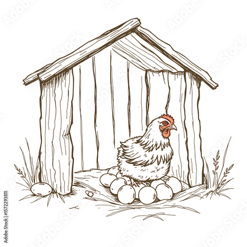 
Chicken Nesting in a Wooden Coop, Representing Farm Animals and Rural Living

